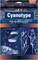 Multipack of 2 - Jacquard Cyanotype Pretreated Mural Fabric 60"X84"